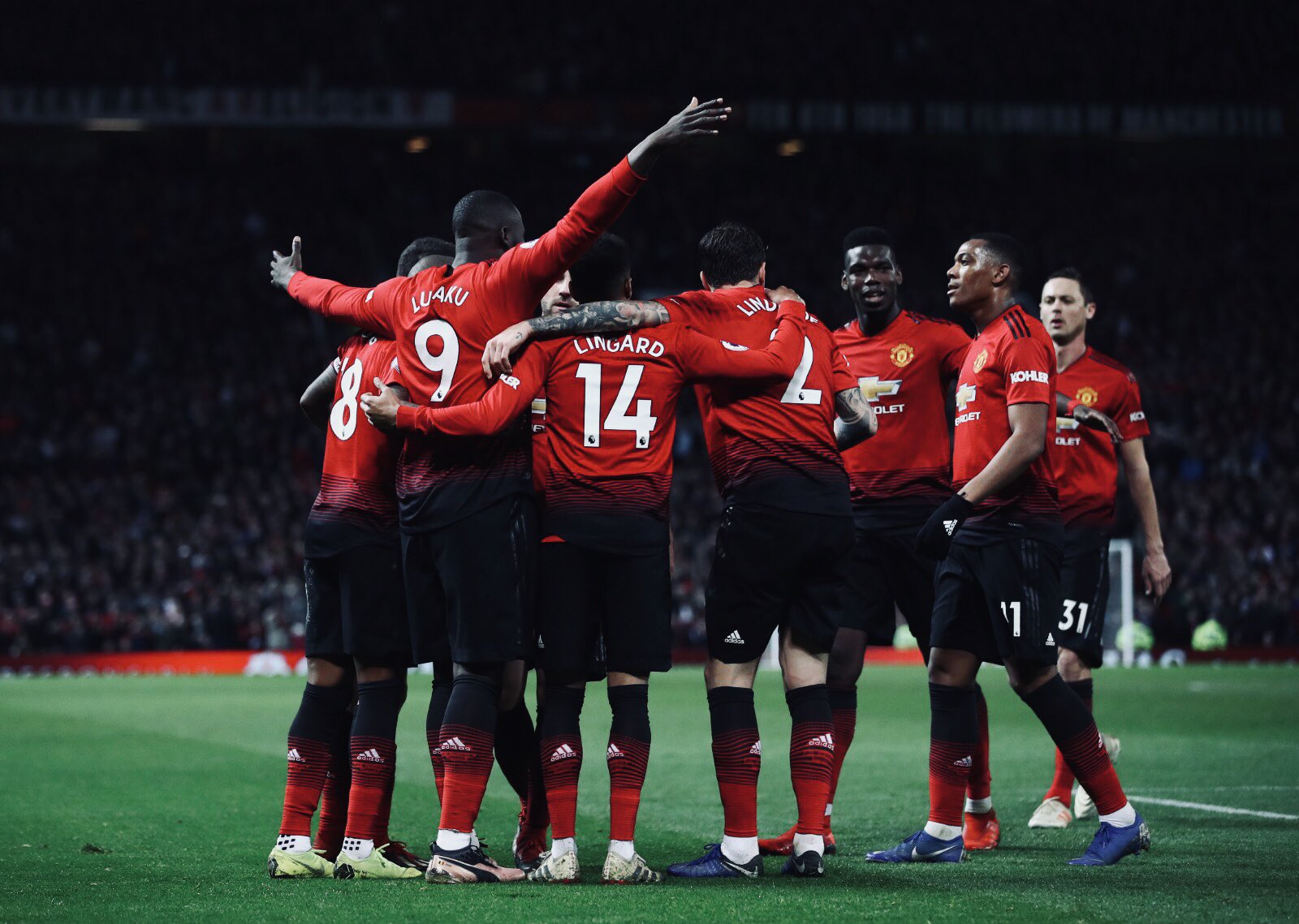 仅完成12 仅完成12